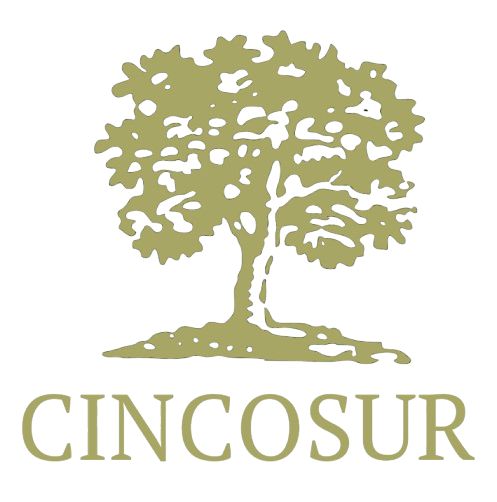 CINCOSUR